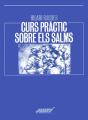 Curs Pràctic Sobre Els Salms - Preview