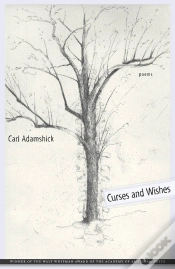 Capa do artigo Curses And Wishes