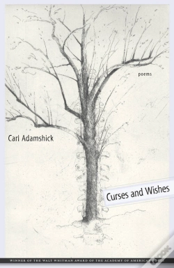 Capa do artigo Curses And Wishes