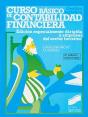 Curso Básico De Contabilidad - Preview
