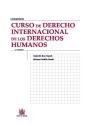 Curso De Derecho Internacional De Los Derechos Humanos - Preview