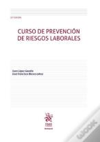 Curso De Prevencion De Riesgos Laborales