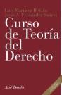 Curso De Teoría Del Derecho - Preview