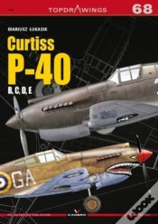 Capa do artigo Curtiss P-40 B, C, D, E