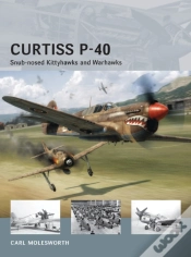 Capa do artigo Curtiss P-40