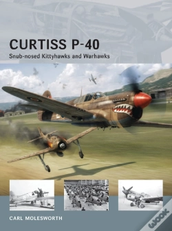 Capa do artigo Curtiss P-40