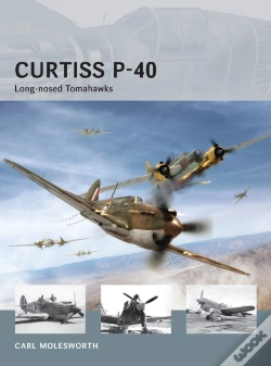 Capa do artigo Curtiss P-40