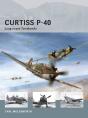 Curtiss P-40 - Preview