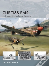 Curtiss P-40