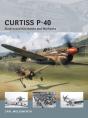 Curtiss P-40 - Preview