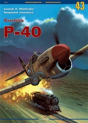 Curtiss P-40 - Preview