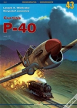 Capa do artigo Curtiss P-40
