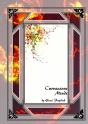 Curvaceous Minds - Preview