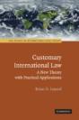 Customary International Law - Preview