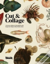 Capa do artigo Cut And Collage