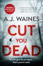 Cut You Dead - Preview