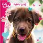 Cute And Cuddly: Puppy Love - Preview