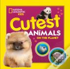 Cutest Animals On The Planet