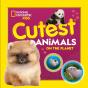 Cutest Animals On The Planet - Preview