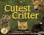 Cutest Critter - Preview