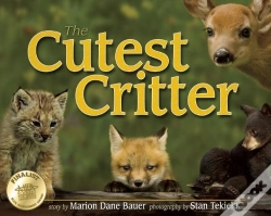 Capa do artigo Cutest Critter