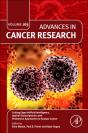 Cutting Edge Artificial Intelligence, Spatial Transcriptomics And Proteomics Approaches To Analyze Cancer - Preview