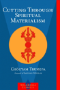 Cutting Through Spiritual Materialism - Preview