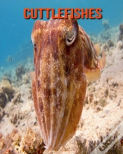 Capa do artigo Cuttlefishes