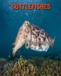 Cuttlefishes - Preview