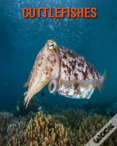 Cuttlefishes