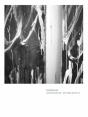 Cy Twombly Studio Notes /Anglais - Preview