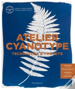 Capa do artigo Cyanotype