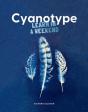 Cyanotype - Preview