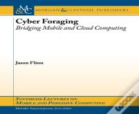 Cyber Foraging