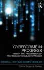 Cybercrime In Progress - Preview