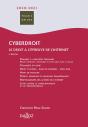 Cyberdroit 2020/21. Le Droit A L'Epreuve De L'Internet - 8e Ed. - Preview