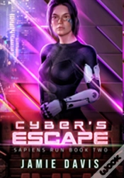 Capa do artigo Cyber