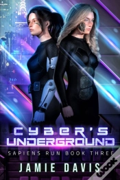 Capa do artigo Cyber