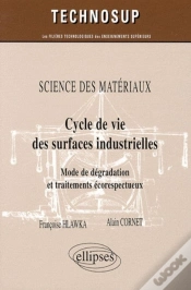 Capa do artigo Cycle De Vie Des Surfaces Industrielles