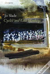 Capa do artigo Cycles And Lost Monkeys