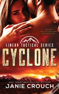 Capa do artigo Cyclone