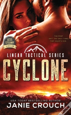 Capa do artigo Cyclone