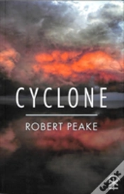 Capa do artigo Cyclone