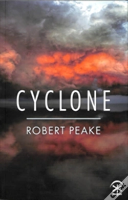 Capa do artigo Cyclone