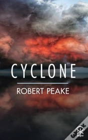 Capa do artigo Cyclone