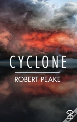 Capa do artigo Cyclone
