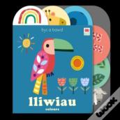 Cyfres Bys A Bawd: Lliwiau / Colours