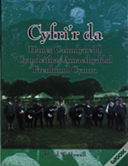 Capa do artigo Cyfri'R Da