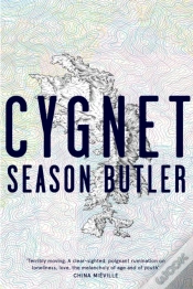 Capa do artigo Cygnet