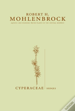 Capa do artigo Cyperaceae